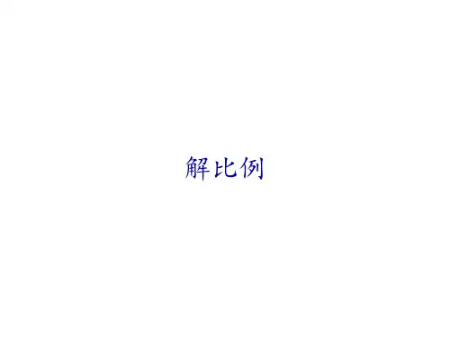 人教版《解比例》完美版课件2(共11张PPT)
