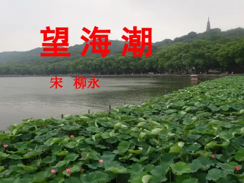 《望海潮》PPT课件36张