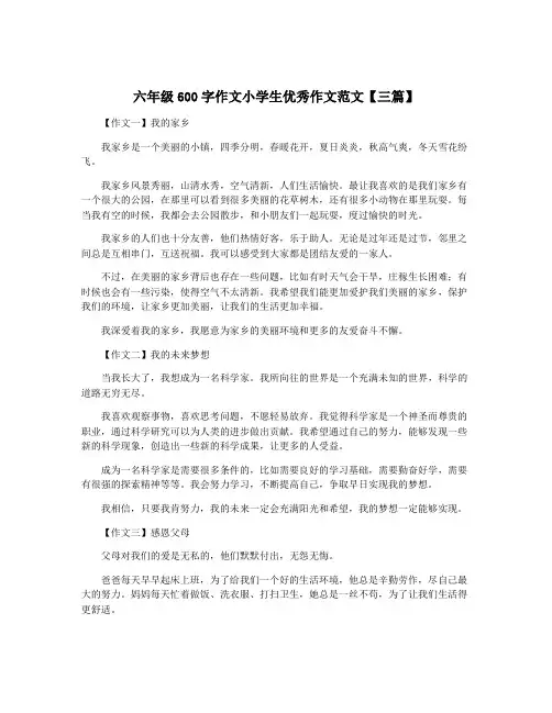 六年级600字作文小学生优秀作文范文【三篇】