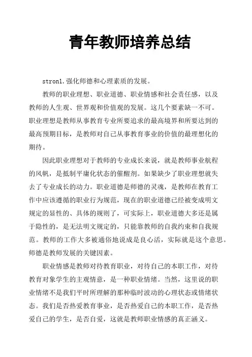 青年教师培养总结