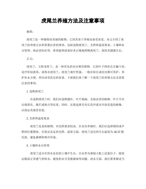虎尾兰养殖方法及注意事项