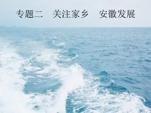 中考政治复习第二编能力素养提升第一部分时政热点突破专题关注家乡安徽发展课件
