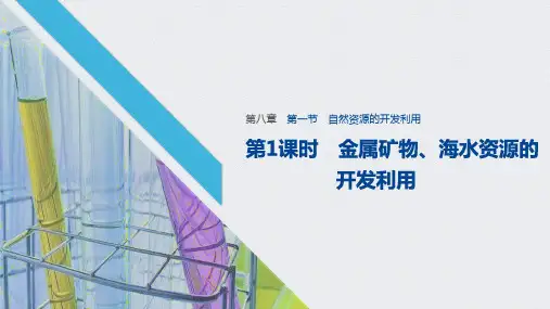 《第一节 自然资源的开发利用》PPT课件