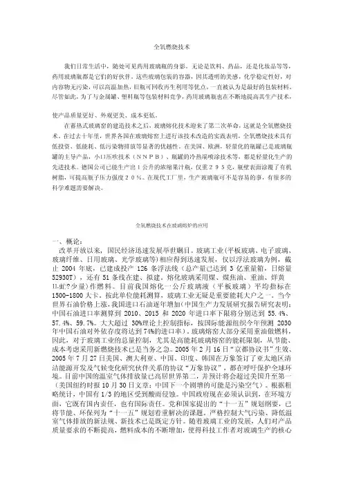 全氧燃烧技术.doc