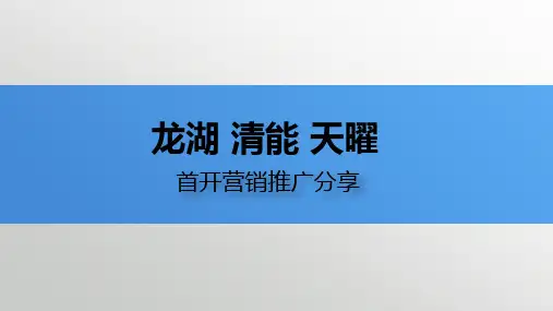 武汉龙湖清能天曜营销案例分享