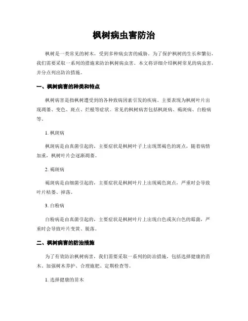枫树病虫害防治