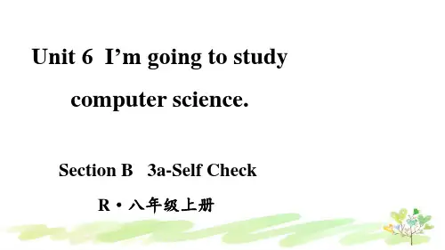 新人教八年级上册英语第5课时(Section B 3a-Self Check)