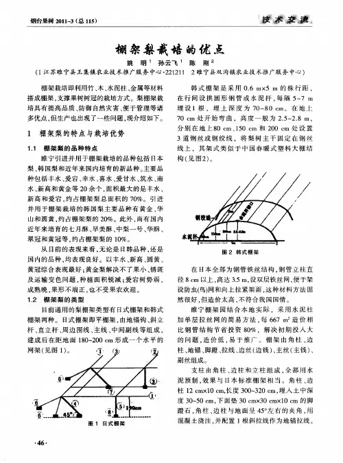 棚架梨栽培的优点