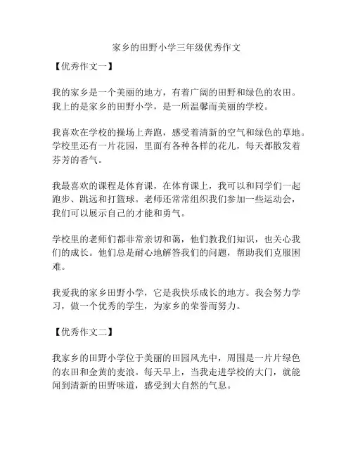 家乡的田野小学三年级优秀作文