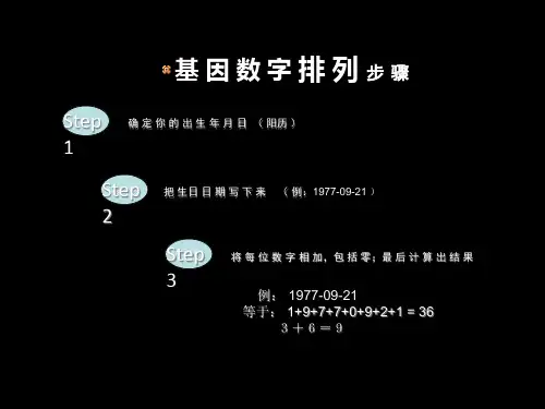 数字能量学—生命密码