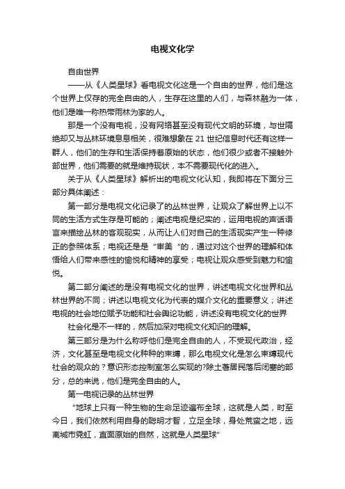 电视文化学