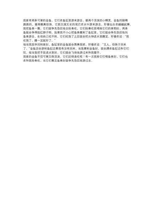 我和小宠物金鱼的故事作文