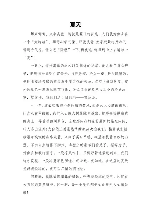 以《夏天》为主题的初二满分作文3篇