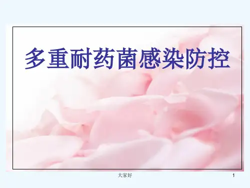 多重耐药菌感染防控 PPT【56页】