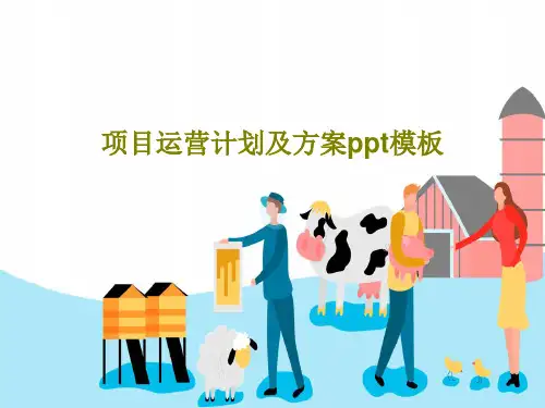项目运营计划及方案ppt模板PPT39页