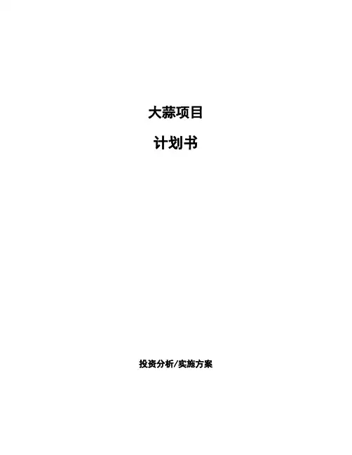 大蒜项目计划书