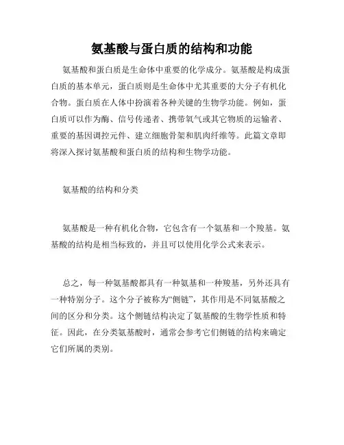 氨基酸与蛋白质的结构和功能