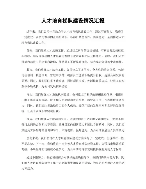 人才培育梯队建设情况汇报