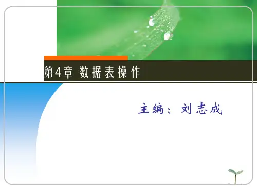 Oracle11g教程第4章数据表操作精品PPT课件
