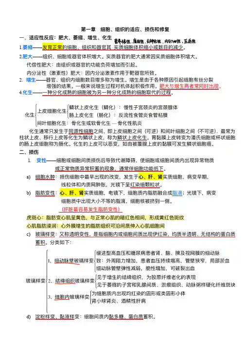 病理学笔记总结