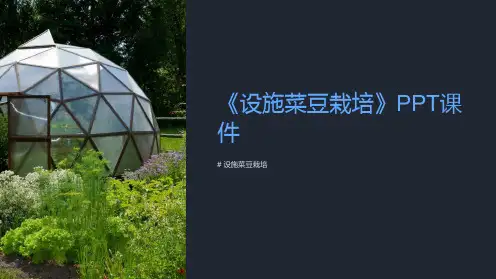 《设施菜豆栽培》课件
