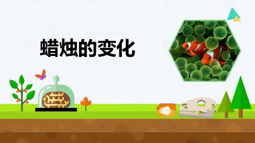 最新青岛版科学六年级上册《蜡烛的变化》优质课件