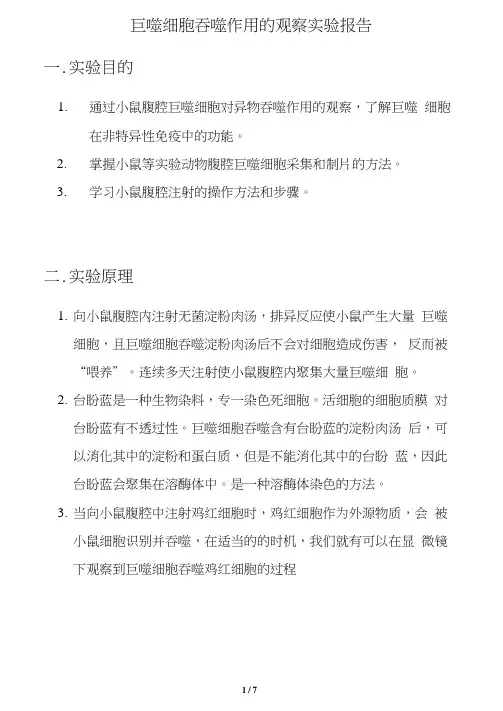 巨噬细胞吞噬作用的观察实验报告