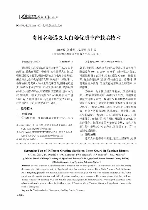贵州名姜遵义大白姜优质丰产栽培技术