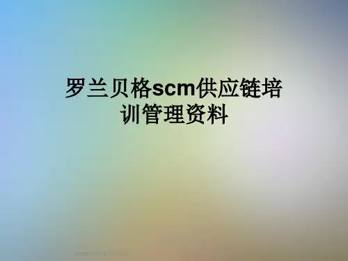 罗兰贝格scm供应链培训管理资料