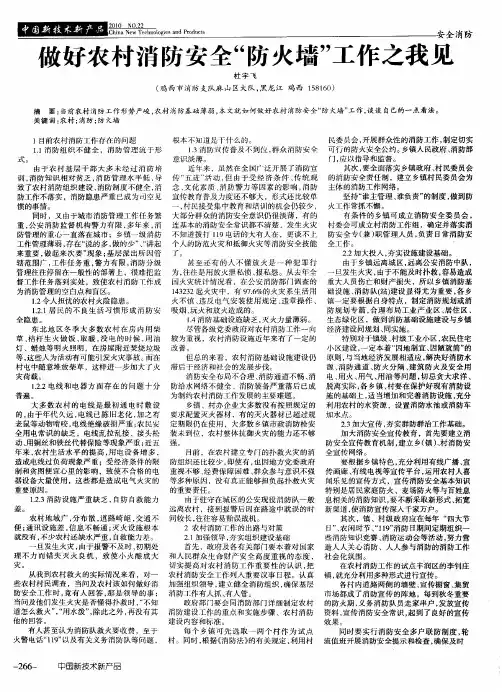 做好农村消防安全“防火墙”工作之我见