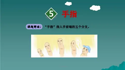 六年级语文下册 第一单元 5手指1 新人教版ppt课件