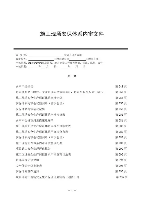 内部安全生产保证体系审核记录(17)