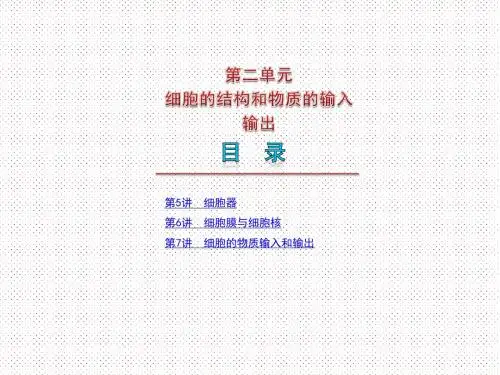 高三一轮生物复习系列精品课件：第二单元《细胞的结构与物质输入、输出》
