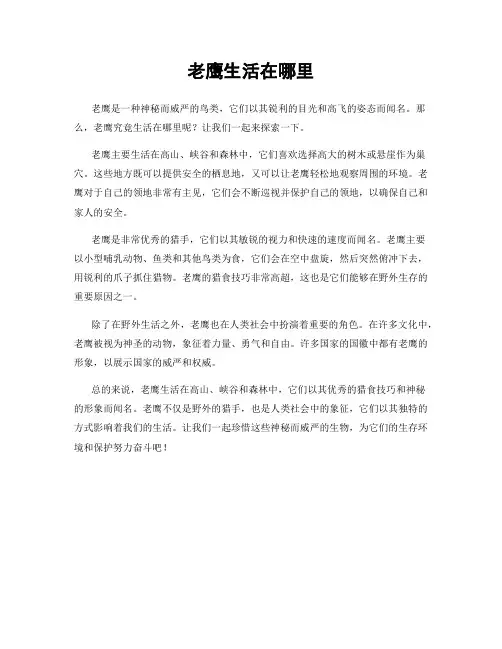 老鹰生活在哪里