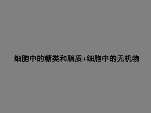 《细胞中的糖类和脂质+细胞中的无机物》PPT课件 人教课标版