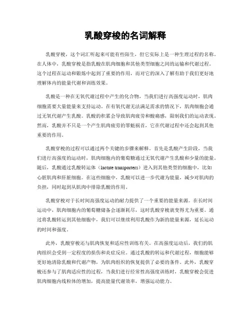 乳酸穿梭的名词解释