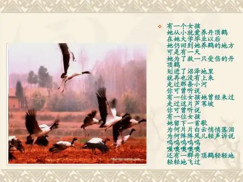 《明天不封阳台》公开课 优秀课件 (苏教版)PPT