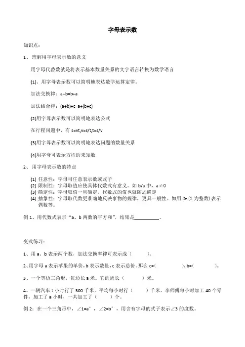 字母表示数