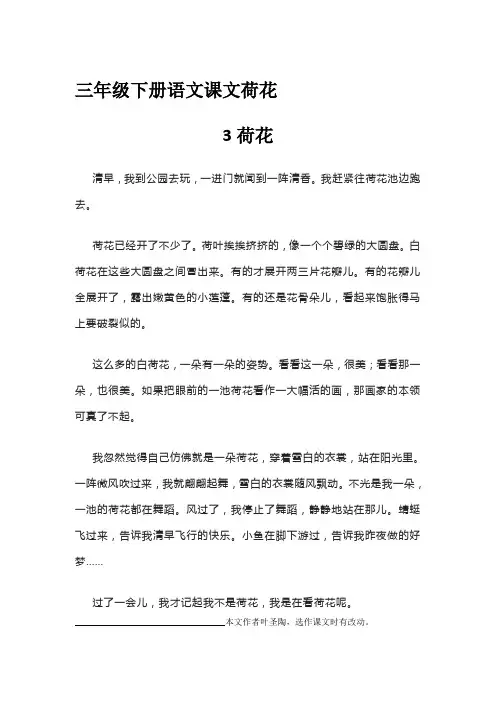 三年级下册语文课文荷花