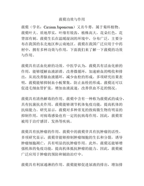 菝葜功效与作用