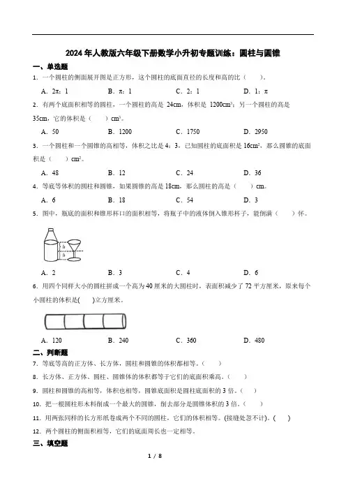 人教版六年级下册数学小升初专题训练：圆柱与圆锥(含答案)
