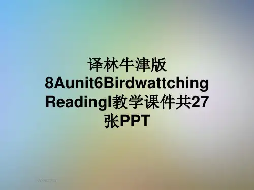 译林牛津版8Aunit6BirdwattchingReadingI教学课件共27张PPT