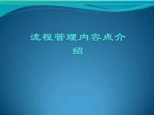 《流程管理简明介绍》PPT课件