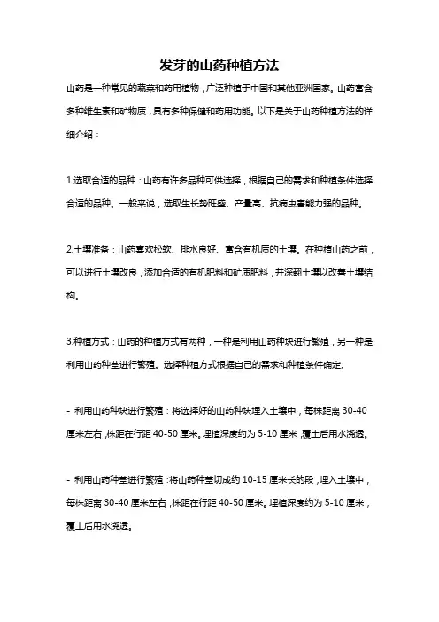 发芽的山药种植方法