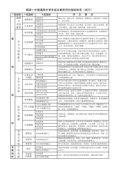 高中学生综合素质评价指标体系