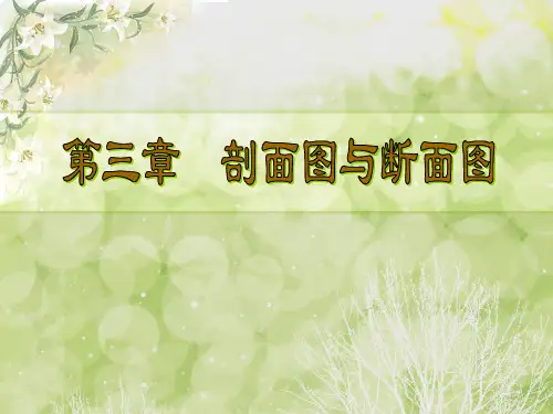 剖面图与断面图