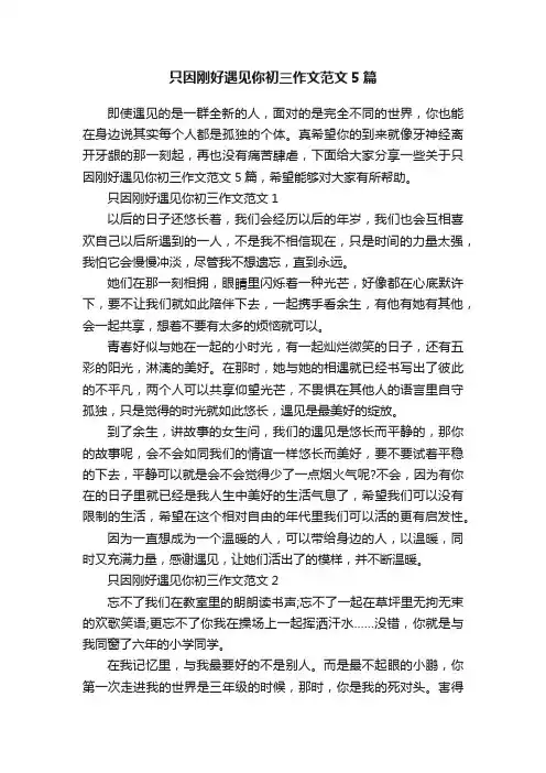 只因刚好遇见你初三作文范文5篇