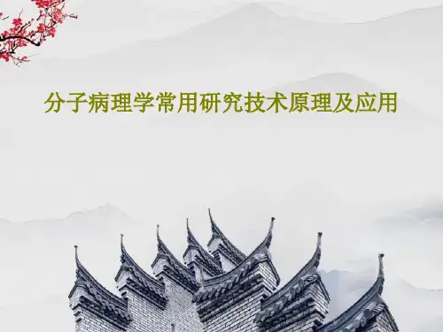 分子病理学常用研究技术原理及应用108页PPT