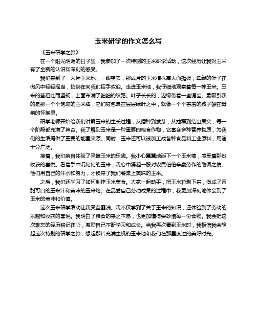 玉米研学的作文怎么写