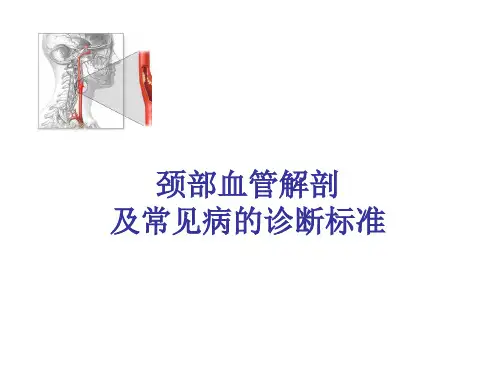 超声颈部血管解剖及常见病诊断标准